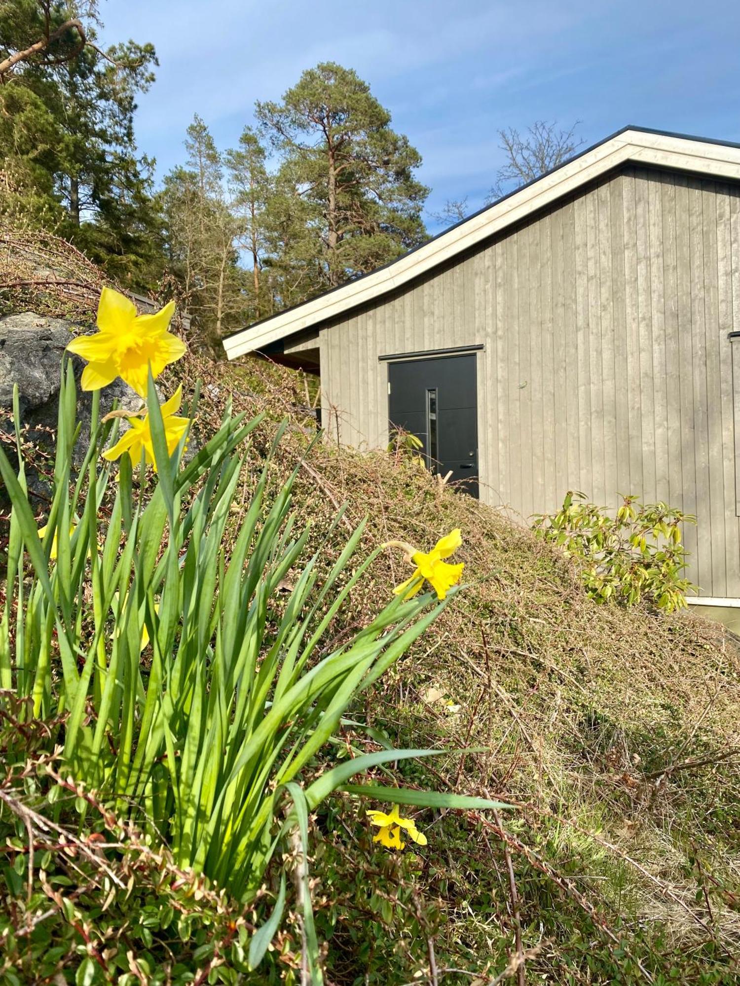 Thecabinljungskile Exterior foto